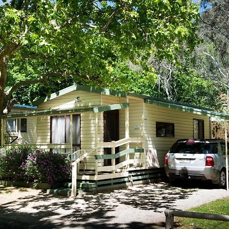 מלון Adelaide Brownhill Creek Tourist Park מראה חיצוני תמונה