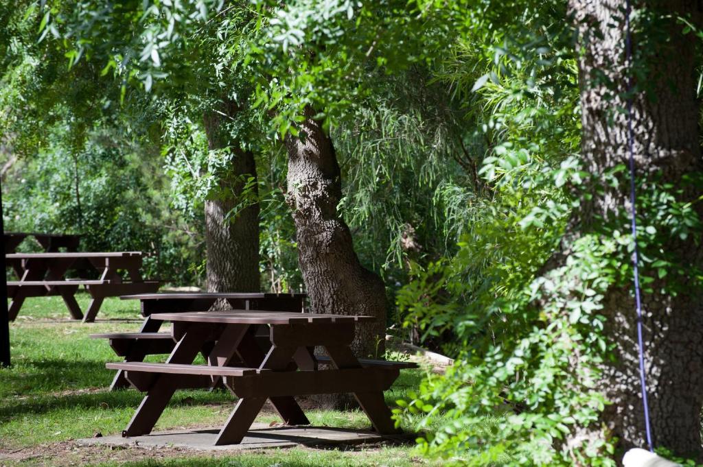 מלון Adelaide Brownhill Creek Tourist Park מראה חיצוני תמונה