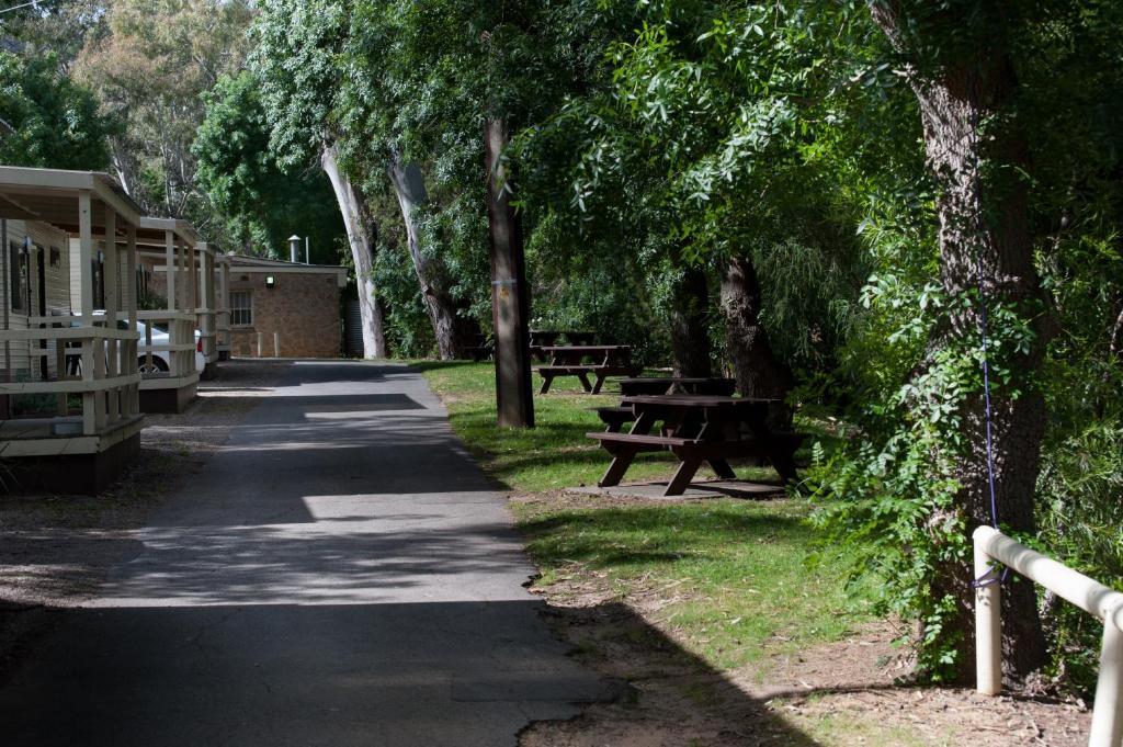 מלון Adelaide Brownhill Creek Tourist Park מראה חיצוני תמונה