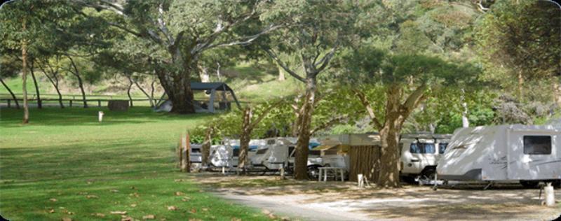 מלון Adelaide Brownhill Creek Tourist Park מראה חיצוני תמונה